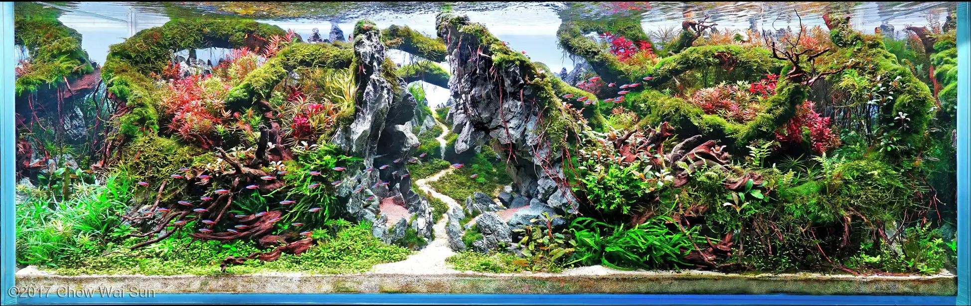 The Rise of Dragons -  AGA 2017 - Dave Chow / HongKong China